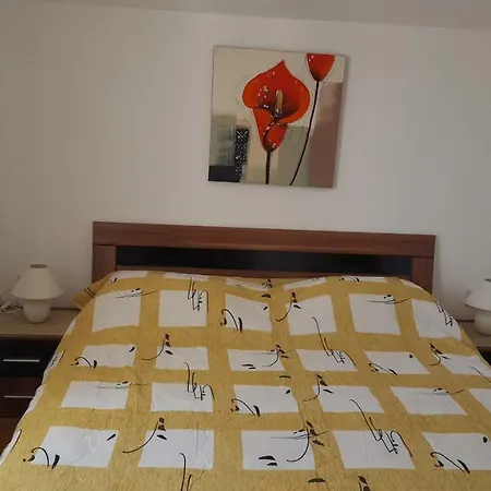 Danijela Apartment